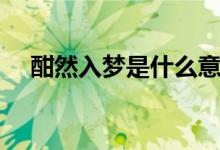 酣然入梦是什么意思（什么是酣然入梦）