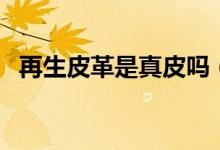 再生皮革是真皮吗（再生皮革是不是真皮）