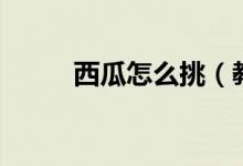 西瓜怎么挑（教你正确挑选西瓜）
