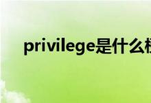 privilege是什么梗（privilege是什么）