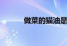 做菜的猫油是什么（你知道吗）