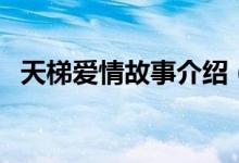 天梯爱情故事介绍（天梯爱情故事是什么）
