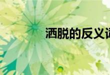 洒脱的反义词（洒脱的意思）