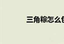 三角粽怎么包（做法很简单）