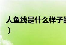 人鱼线是什么样子的（人鱼线是什么样子介绍）
