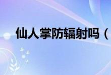 仙人掌防辐射吗（仙人掌能不能防辐射）