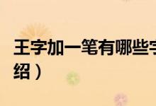 王字加一笔有哪些字（王字加一笔有哪些字介绍）
