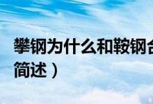 攀钢为什么和鞍钢合并（攀钢和鞍钢合并原因简述）