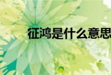 征鸿是什么意思（征鸿意思是什么）