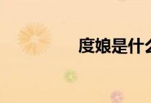 度娘是什么（度娘简述）