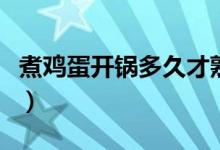煮鸡蛋开锅多久才熟（煮鸡蛋开锅几分钟才熟）