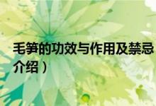 毛笋的功效与作用及禁忌（毛笋的功效与作用及禁忌的简单介绍）