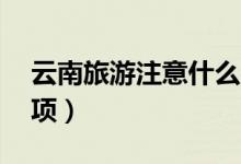 云南旅游注意什么（云南旅游的10个注意事项）