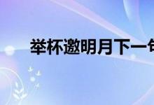 举杯邀明月下一句（月下独酌的原文）