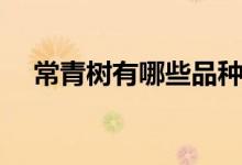 常青树有哪些品种（常青树有什么品种）