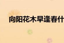 向阳花木早逢春什么意思（含义是什么）