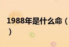 1988年是什么命（1988年属龙人的命运分析）