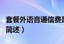 套餐外语音通信费是什么（套餐外语音通信费简述）