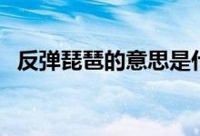 反弹琵琶的意思是什么（反弹琵琶的意思）