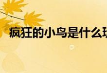 疯狂的小鸟是什么玩法（有什么玩的技巧）