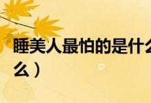 睡美人最怕的是什么（睡美人最怕的东西是什么）