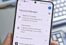 如何使用 Google 管理密码
