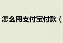 怎么用支付宝付款（怎么用支付宝付款介绍）