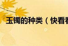 玉镯的种类（快看看你的手镯属于哪一类）