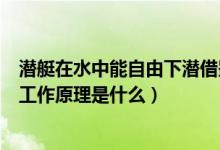 潜艇在水中能自由下潜借鉴了鱼什么器官工作原理（潜艇的工作原理是什么）