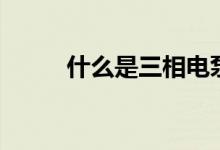 什么是三相电泵（三相电泵介绍）