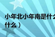 小年北小年南是什么意思啊（小年北小年南是什么）