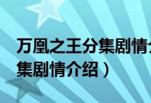 万凰之王分集剧情介绍（电视剧万凰之王1-5集剧情介绍）