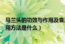 马兰头的功效与作用及食用方法（马兰头的功效与作用及食用方法是什么）