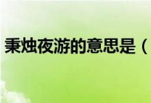 秉烛夜游的意思是（秉烛夜游的意思是什么）