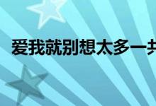 爱我就别想太多一共多少集（一共是40集）