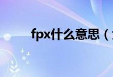 fpx什么意思（大多男生都知道它）