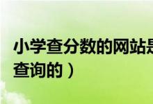 小学查分数的网站是什么（这些途径都是可以查询的）