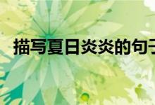 描写夏日炎炎的句子（写夏天炎热的好句）