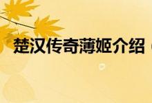 楚汉传奇薄姬介绍（楚汉传奇电视剧简介）