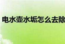 电水壶水垢怎么去除（电水壶水垢去除技巧）