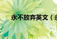 永不放弃英文（永不放弃是什么意思）