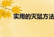 实用的灭鼠方法（最好的灭鼠方法）