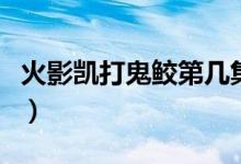 火影凯打鬼鲛第几集（火影凯打鬼鲛是哪一集）