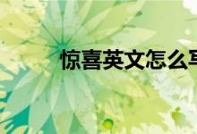 惊喜英文怎么写（惊喜英文翻译）