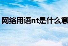 网络用语nt是什么意思（nt是什么英文缩写）