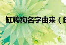 缸鸭狗名字由来（缸鸭狗名字由来是什么）