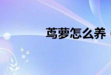 茑萝怎么养（茑萝如何养殖）