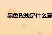 黑色玫瑰是什么意思（黑色玫瑰的含义）