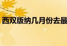 西双版纳几月份去最好（西双版纳必去景点）