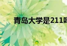 青岛大学是211吗（青岛大学的介绍）